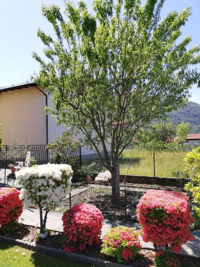 La Rosa Rossa Apartment Cambiasca ภายนอก รูปภาพ